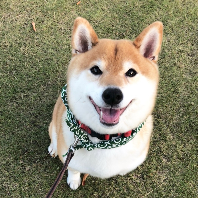 わか
