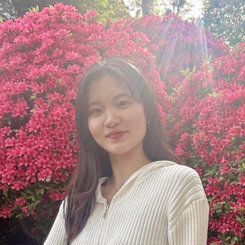 恵