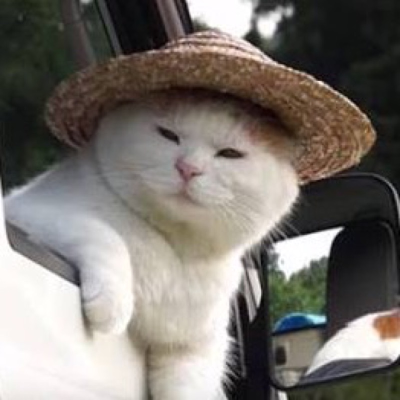 のり