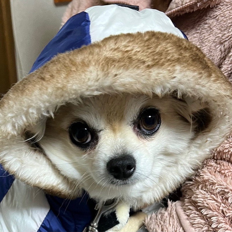 寺澤弘規