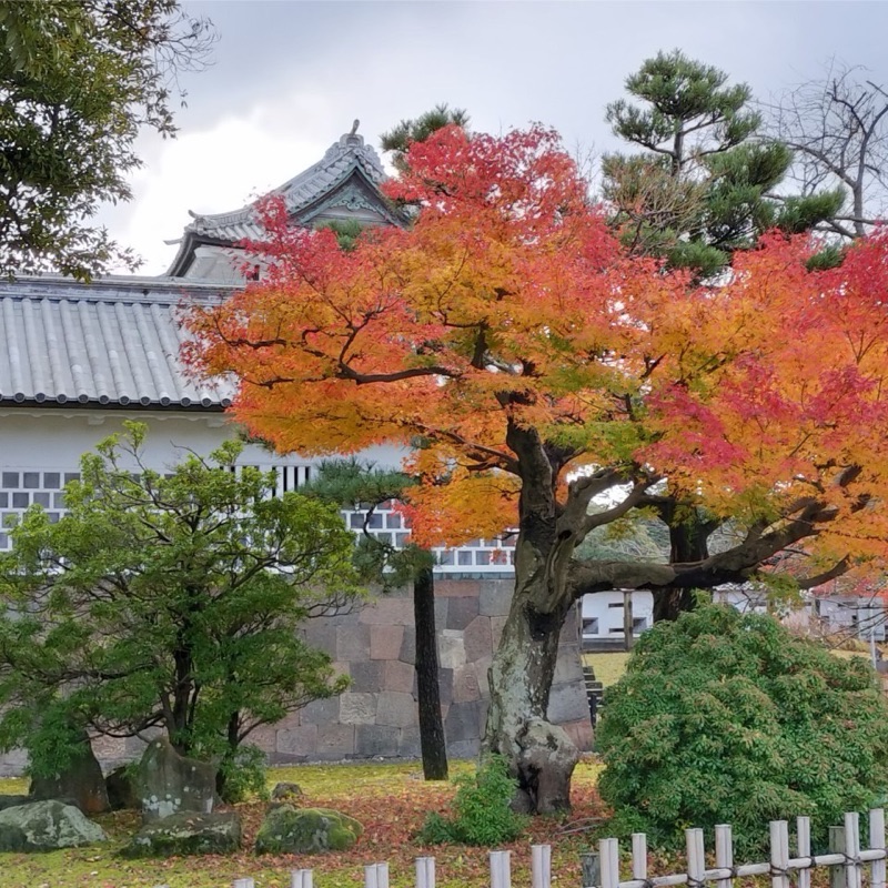 戸田憲伸