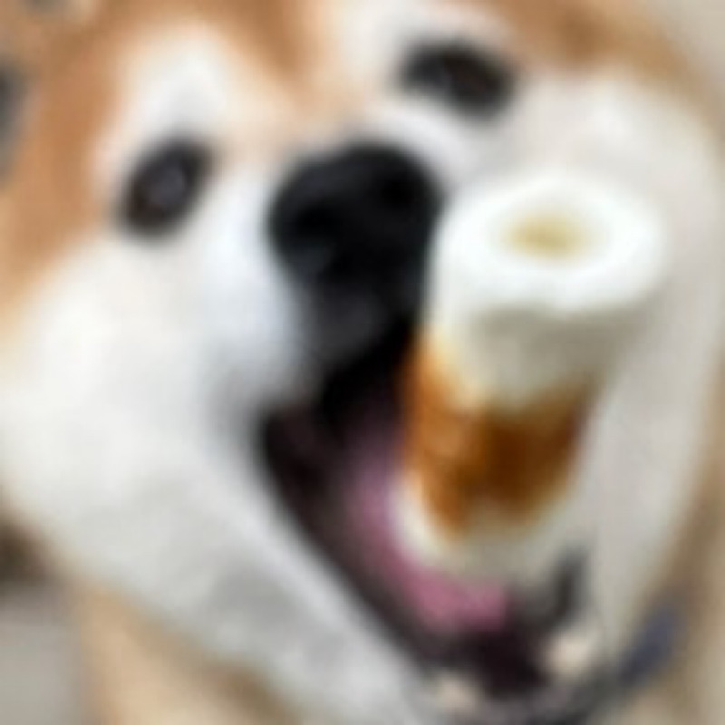 ゆきち
