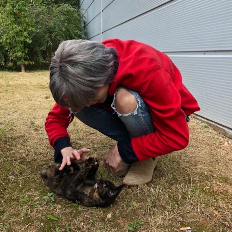 どんぐり