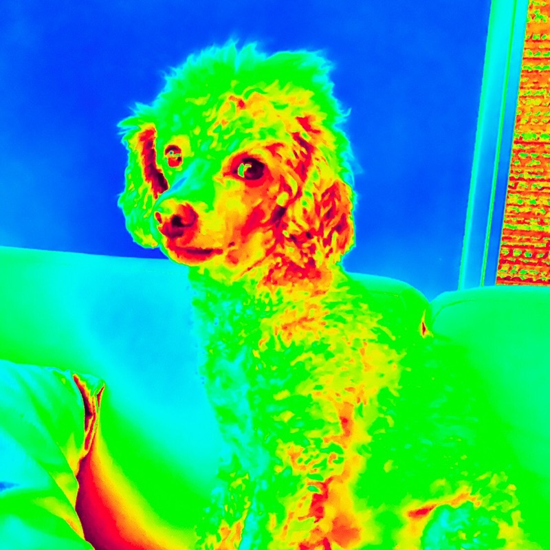 Irie