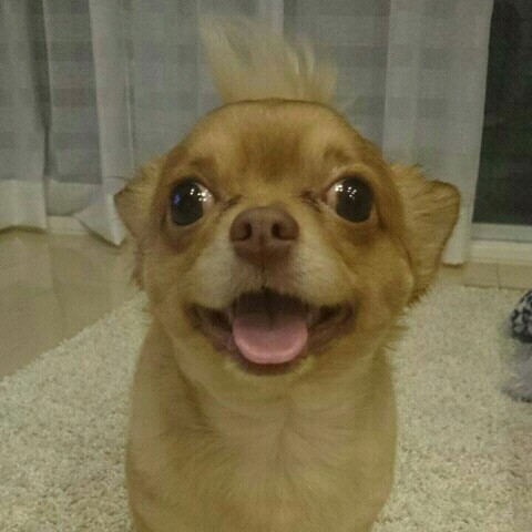 津布久　みどり