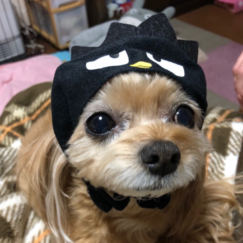 みさき