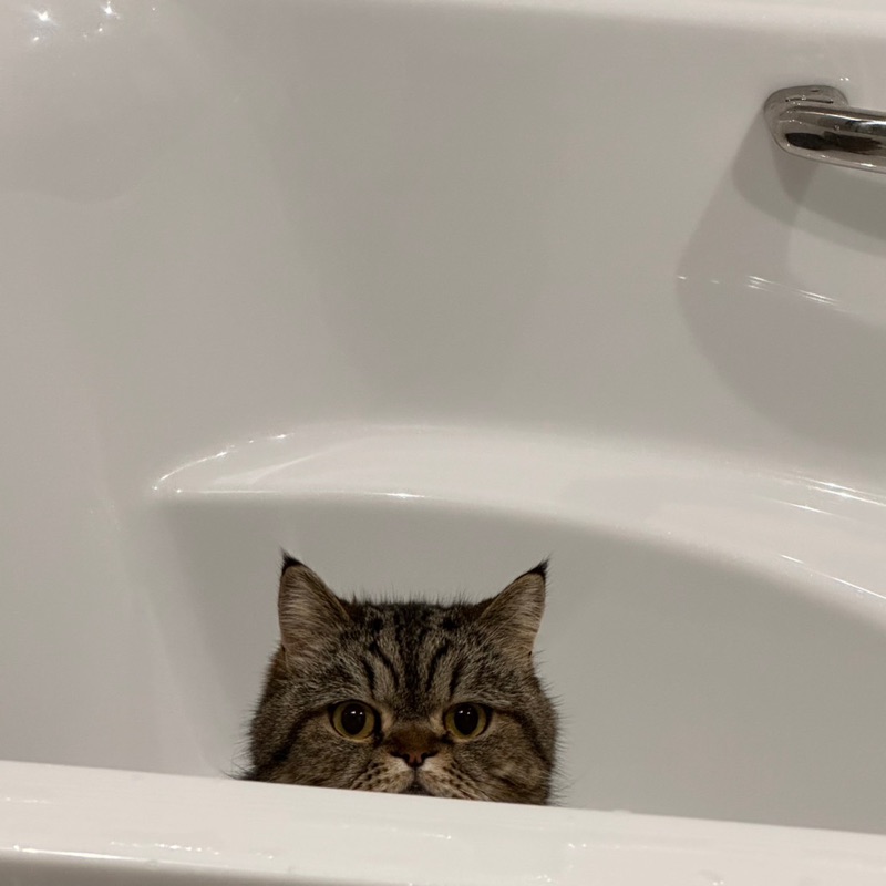 ふじち