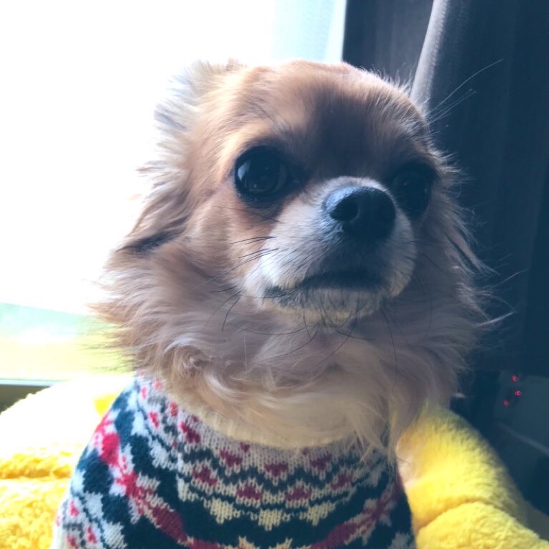 松浪憂人
