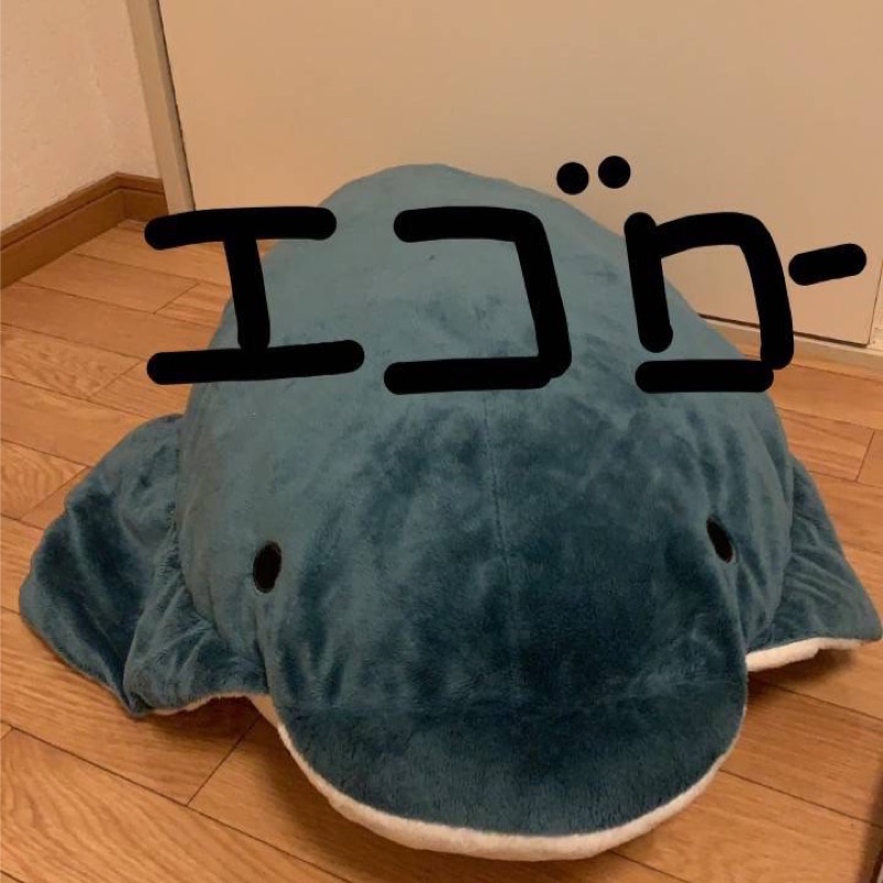 h.y