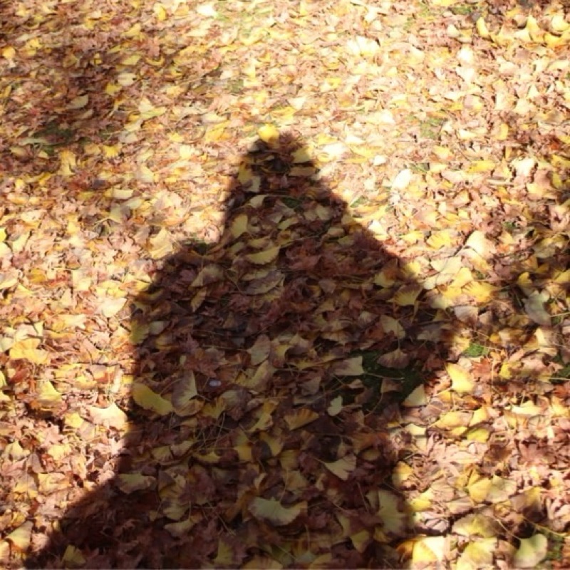 きのこぴよぴよまる