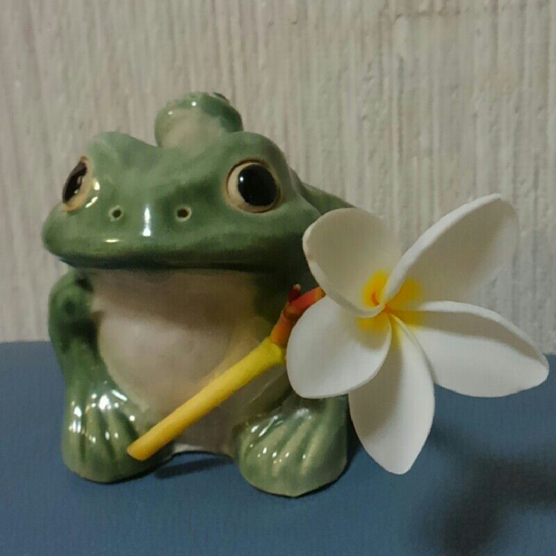 加納由子