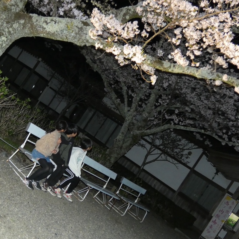 はし