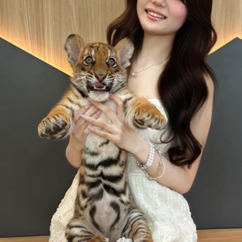 ちみ