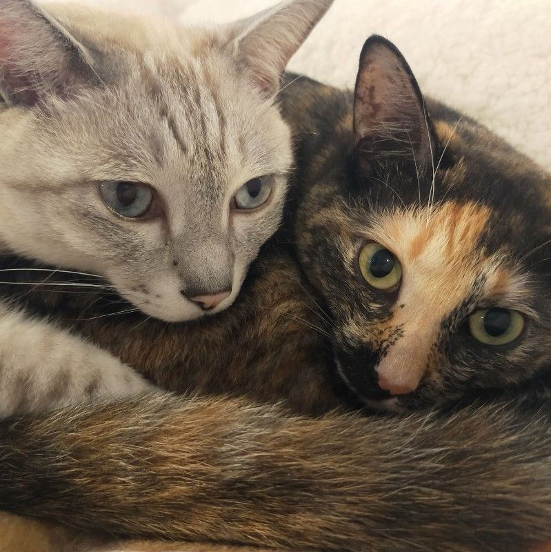 イメチェン成功