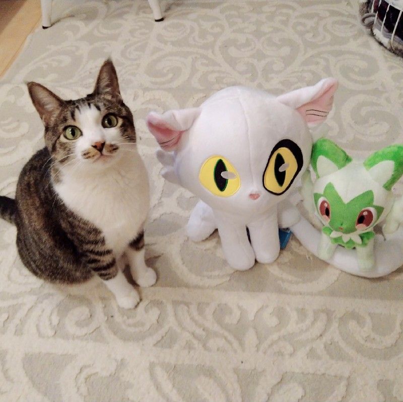 もと