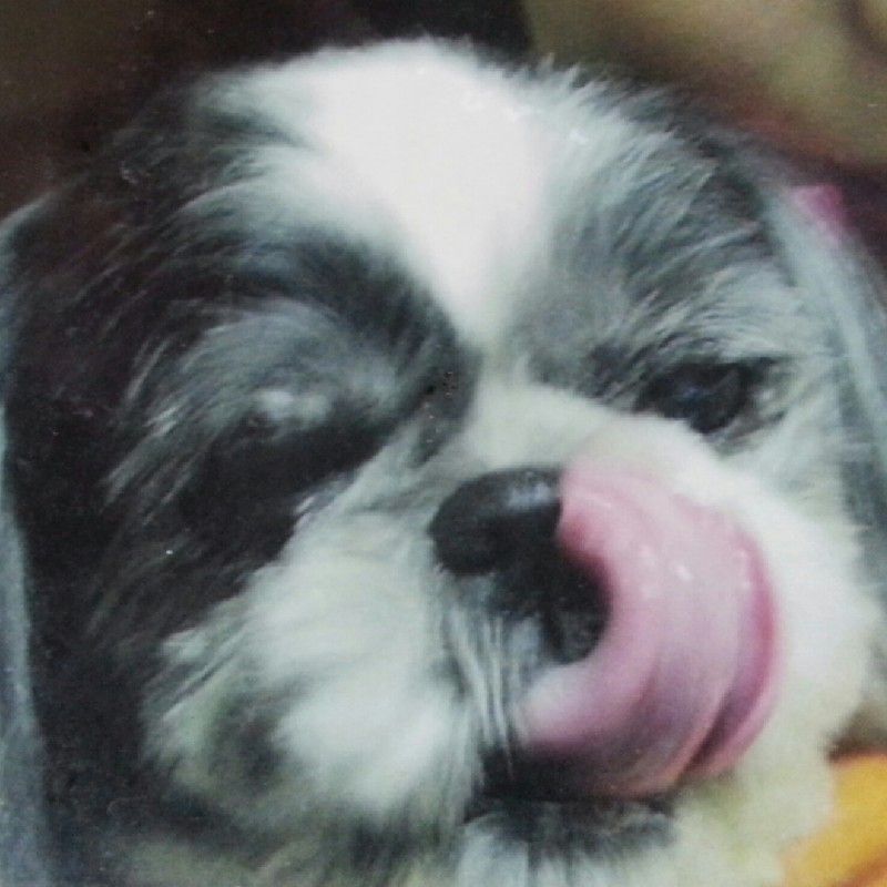 momoko
