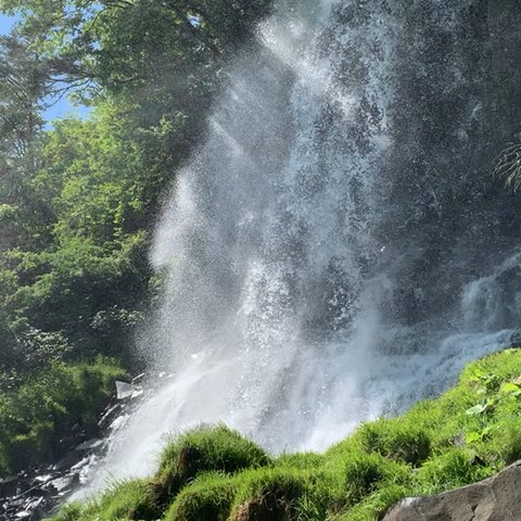 ラワンデル　ゆり