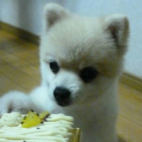 野高　三千代