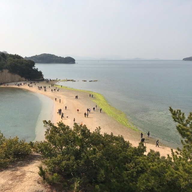 ちゃぼ