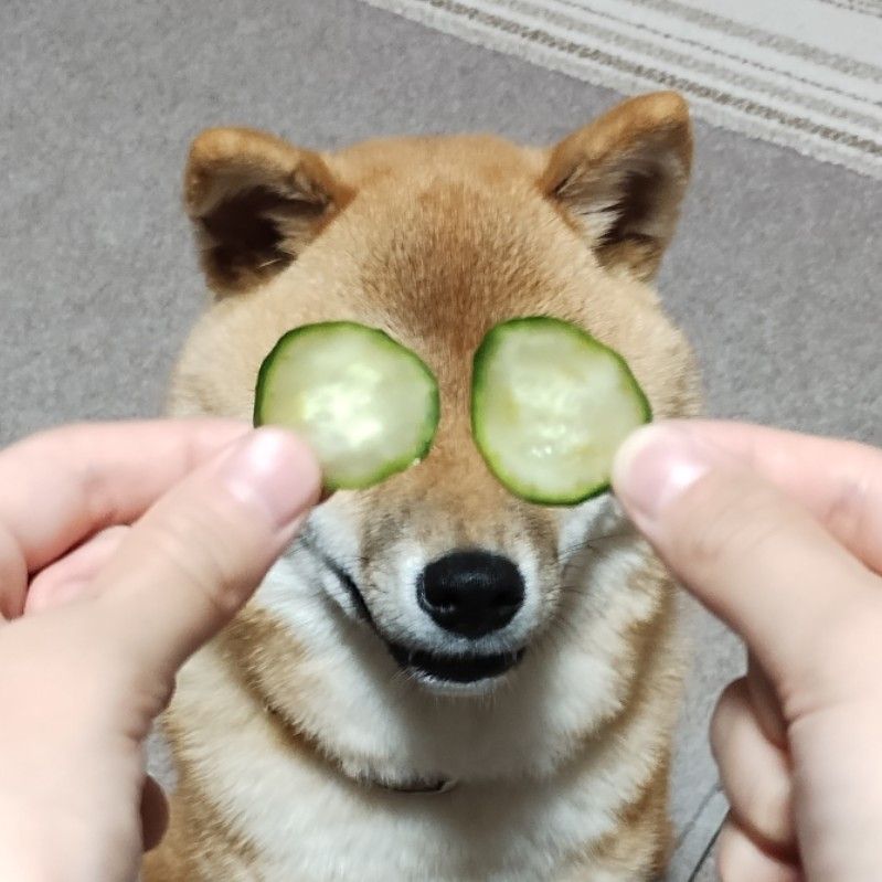 すず