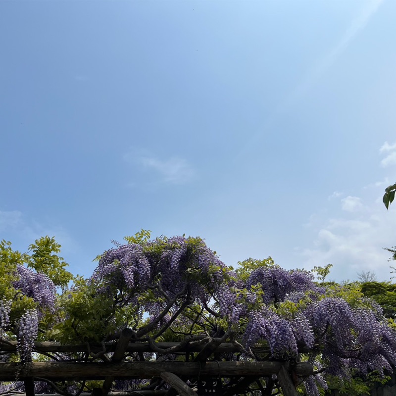 秋山伴恵