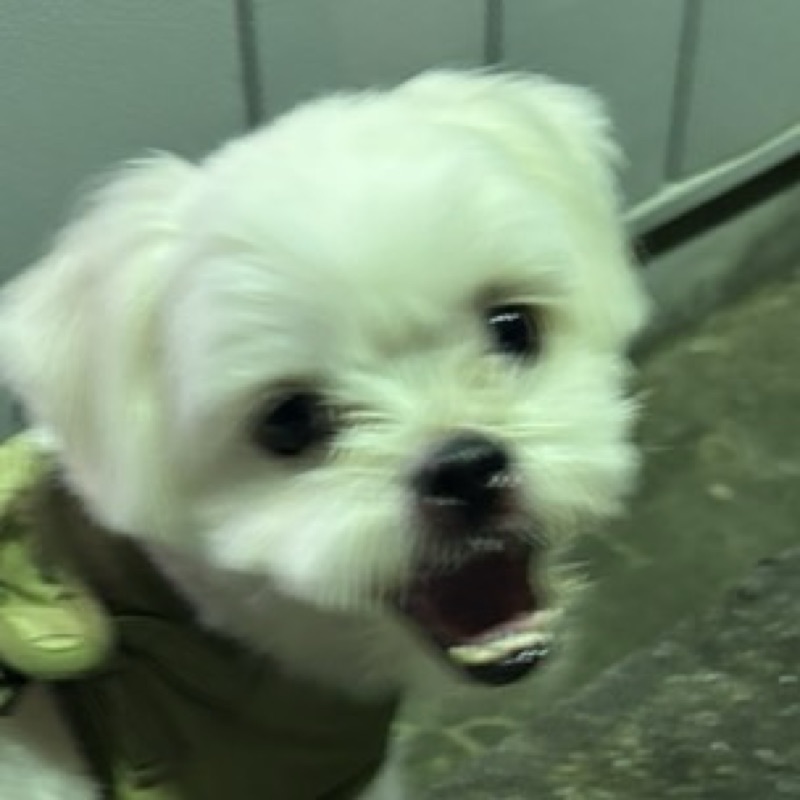 ゆづき