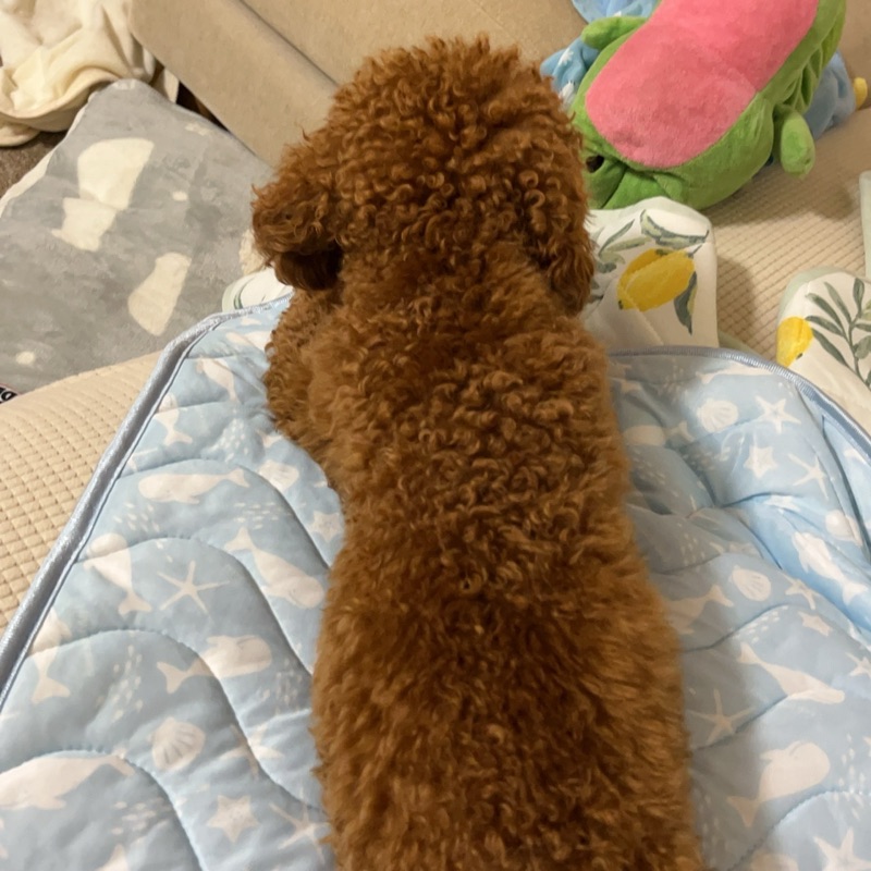 竹内健史