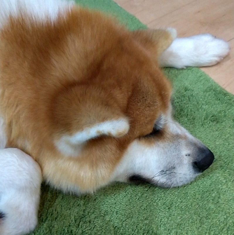 スライダーけいこ