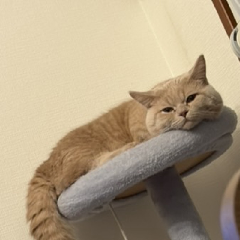 もうふ