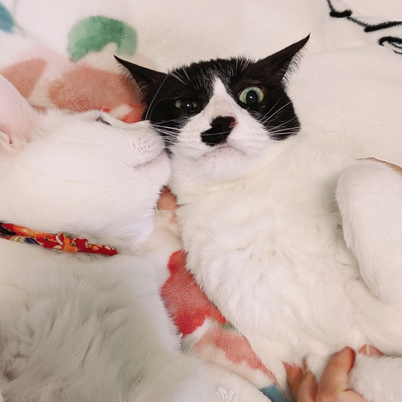 いづみ