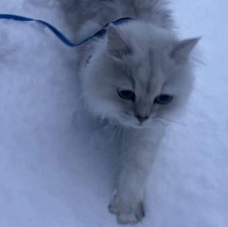 むう