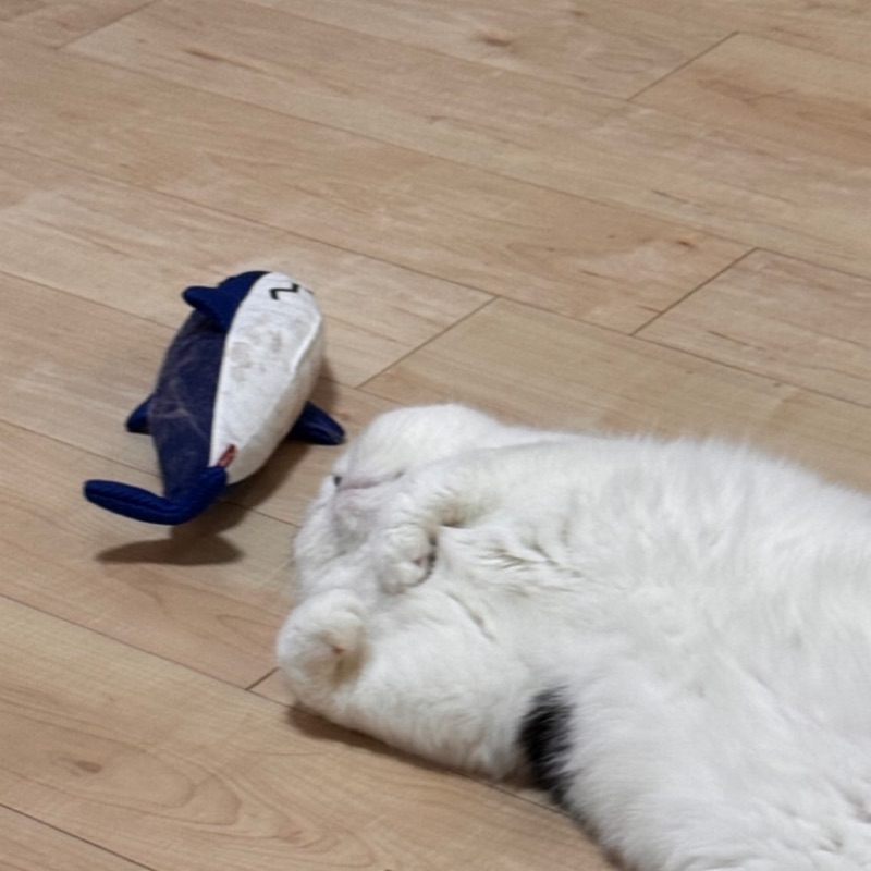 なかにし