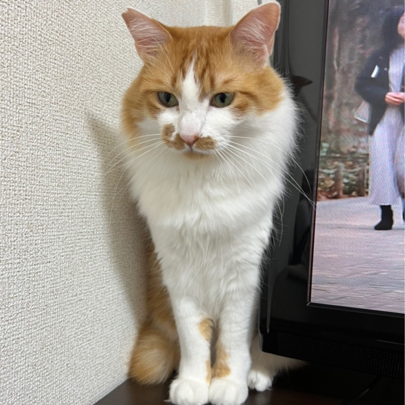 あすか