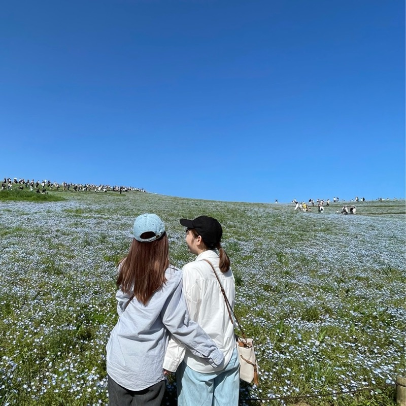 村山美枝
