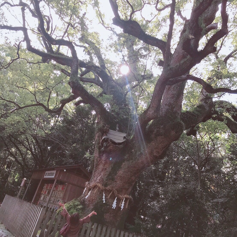 大竹久美子