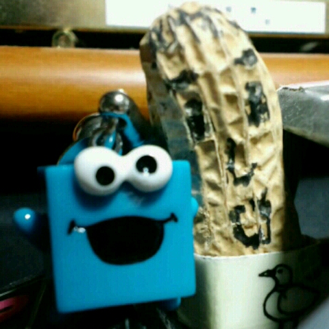 tomomon