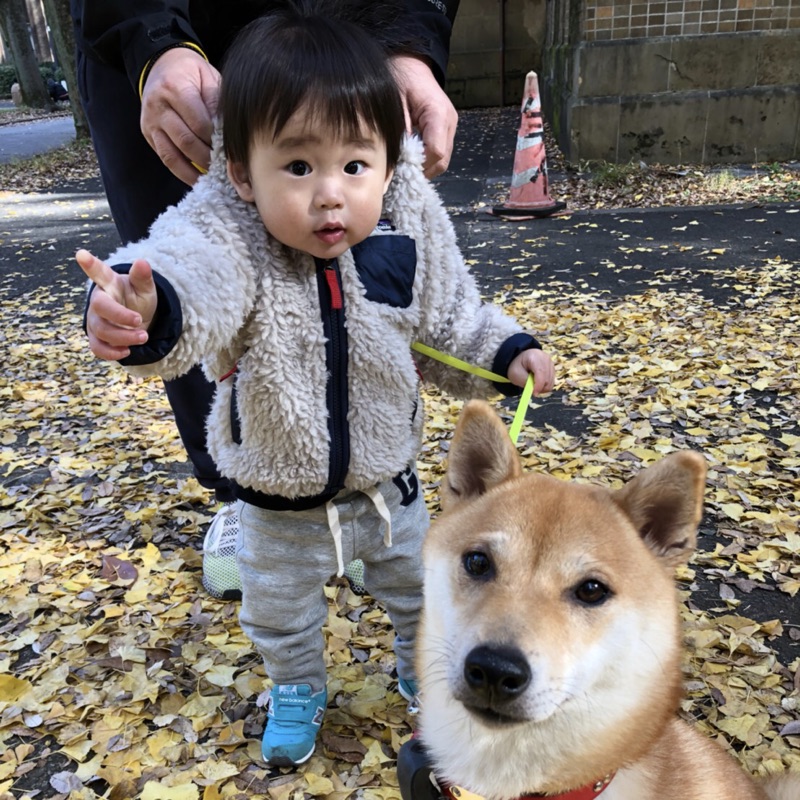 けむまき