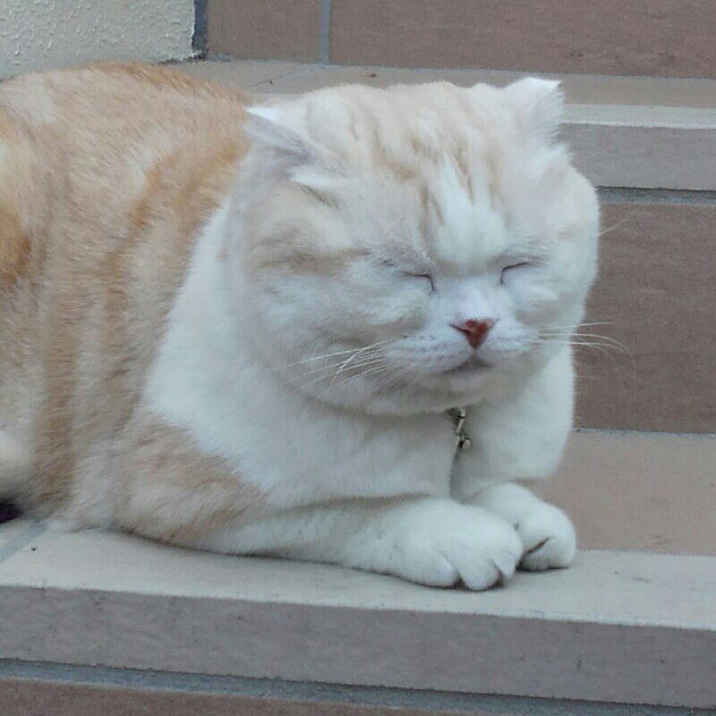 鈴木暁子