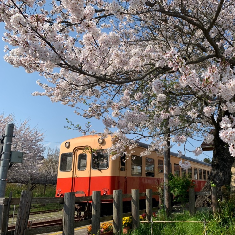 芦谷智明