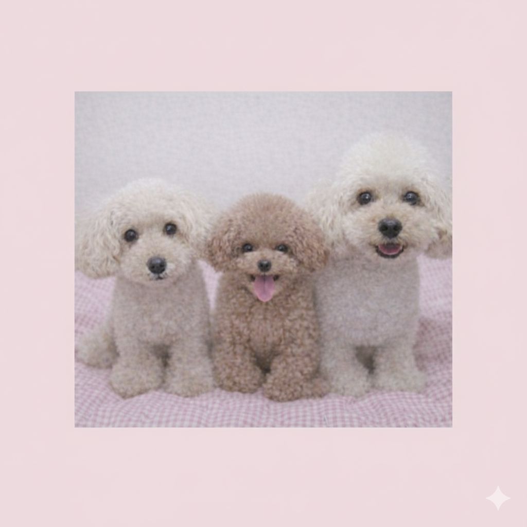 札幌からお邪魔しました