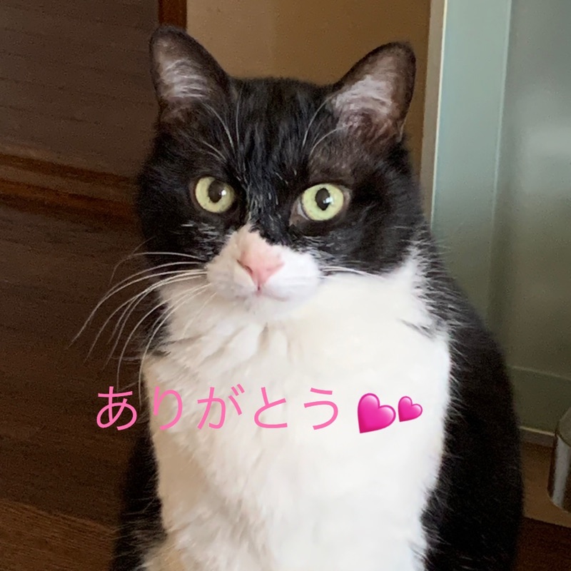 新井　菜子