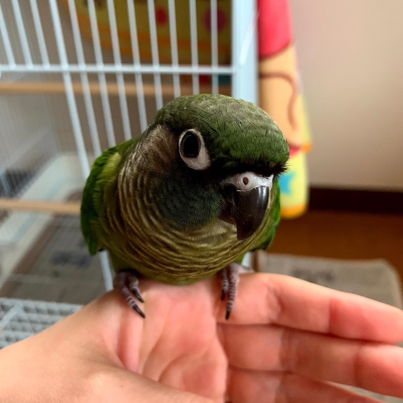 まち