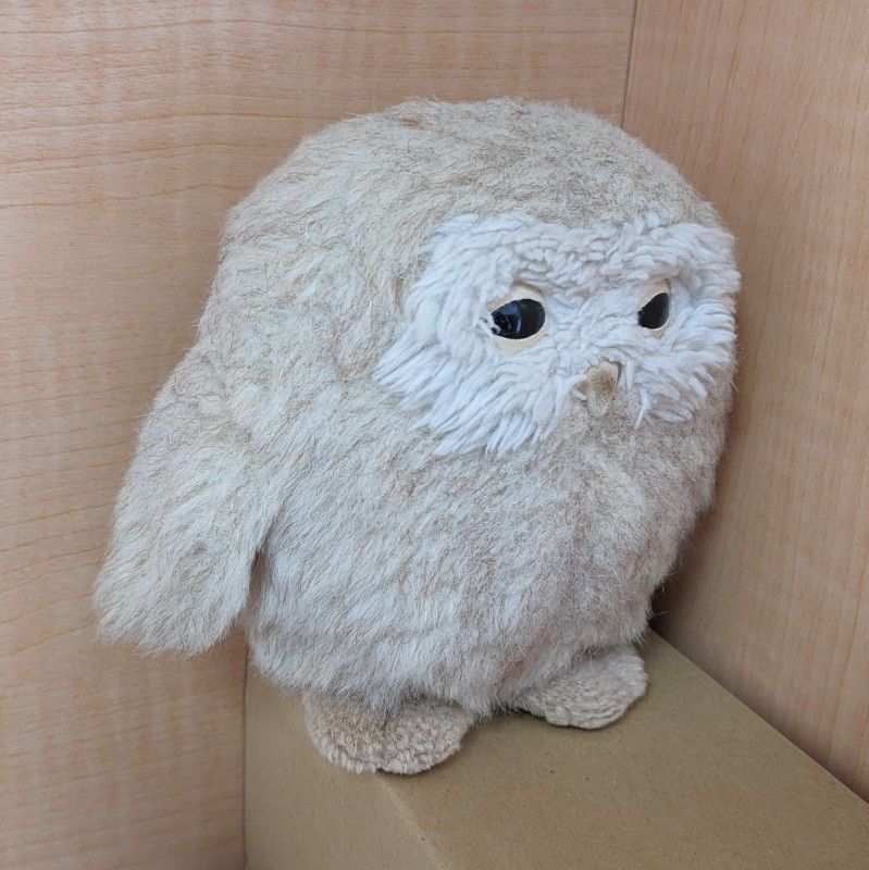 シマフクロウ
