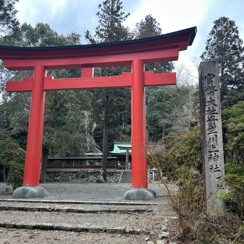 宮本直子