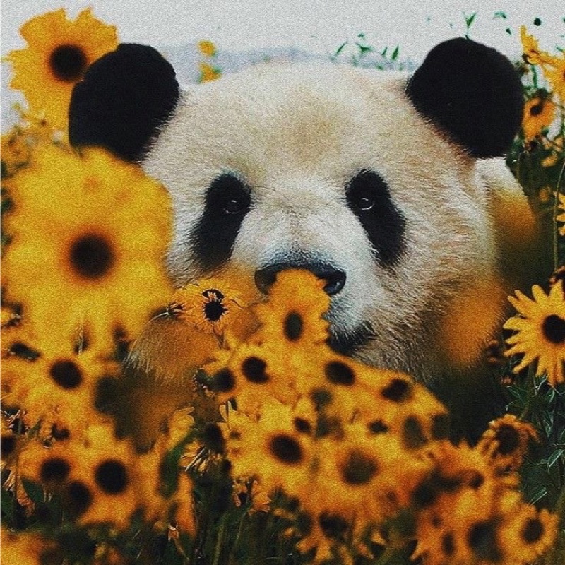 h.m
