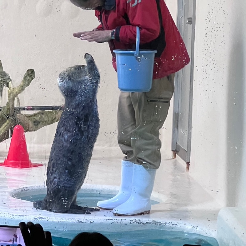 瀬戸千春