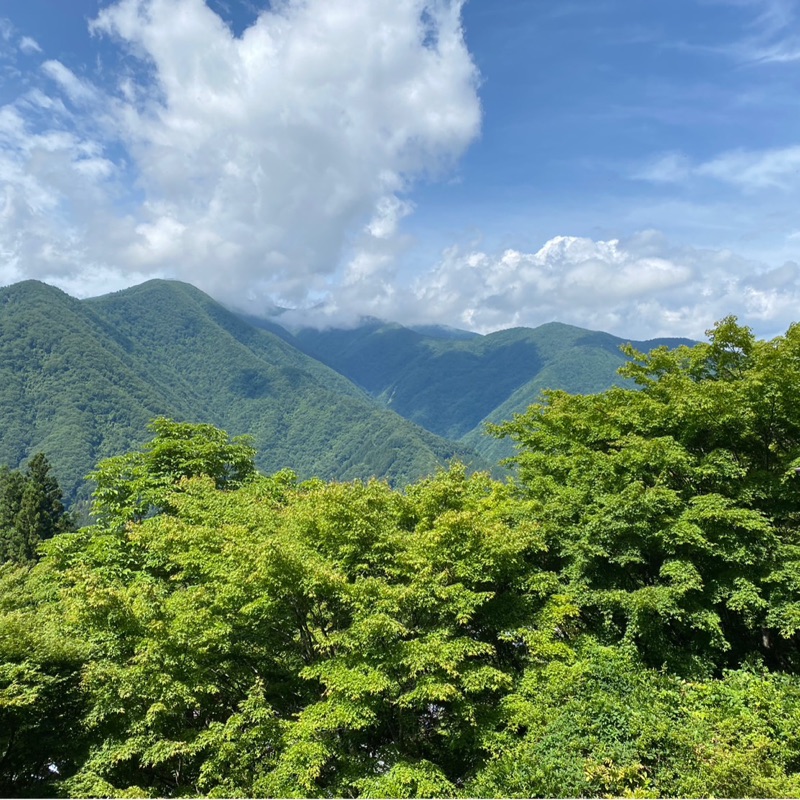 ちえ
