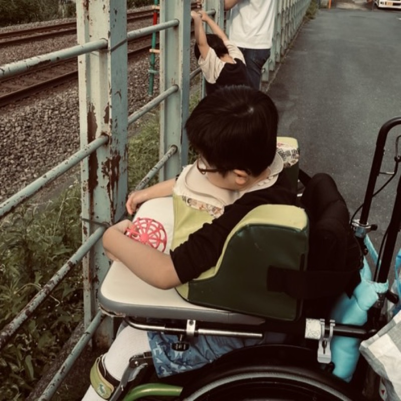 まめこ