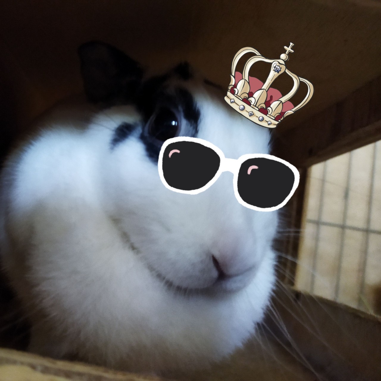 Looouis