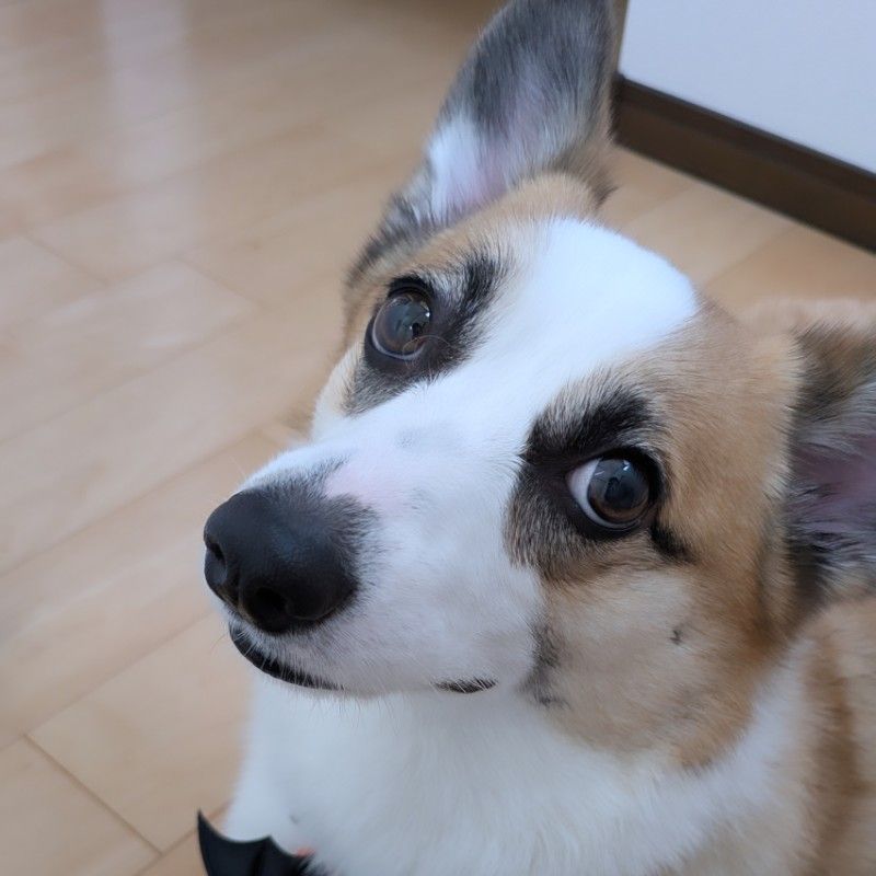 N.A